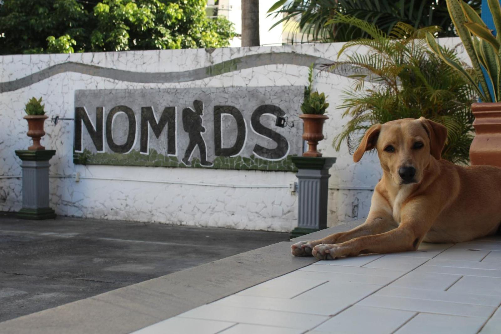 Nomads Hostel Multicultural & Coworking Salvador Exterior foto